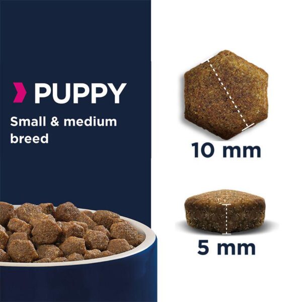 Eukanuba Grain-Free Small & Medium Breed Puppy with Ocean Fish-Alifant Food Supplier