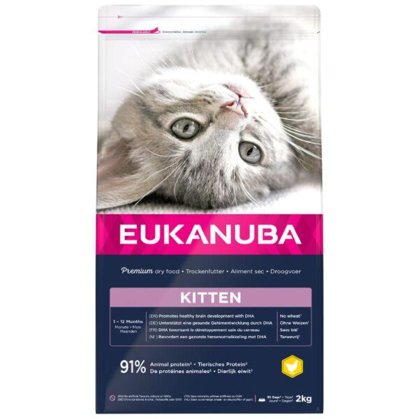 Eukanuba Healthy Start Kitten-Alifant Food Supplier