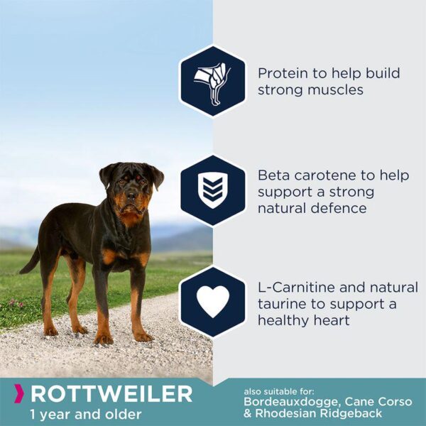 Eukanuba Rottweiler Adult- Alifant Food Supplier