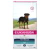 Eukanuba Rottweiler Adult- Alifant Food Supplier