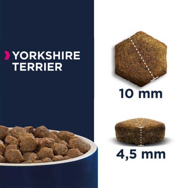 Eukanuba Yorkshire Terrier Adult-Alifant Food Supplier