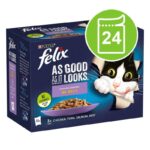 Felix As Good As It Looks 24 x 100g-Alifant food Supply