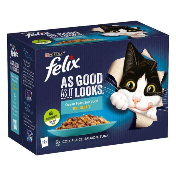 Felix As Good As It Looks Saver Pack 48 x 100g-Alifant supplier