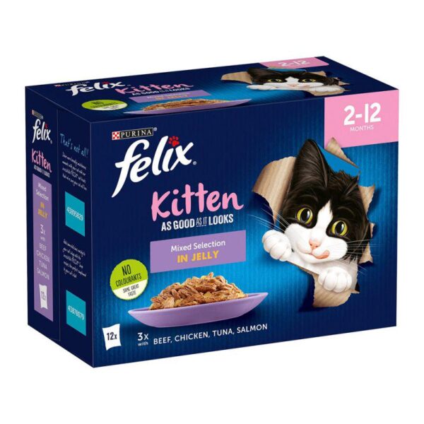 Felix Kitten As Good As It Looks-Alifant Food Supply