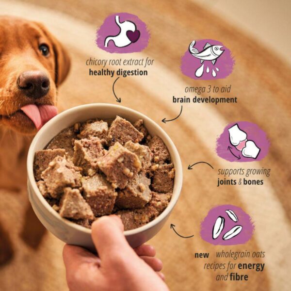 Forthglade Complete Meal Wholegrain Puppy Dog - Duck & Chicken-Alifant Food Supplier