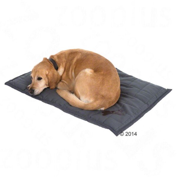 Freedom Dog Cushion – Grey- Alifant Food Supply