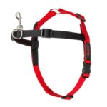 Halti Front Control Training Harness-Alifant food Supply