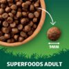 Harringtons Adult Grain Free with Superfoods Dry Dog Food - Chicken-Alifant Food Supplier