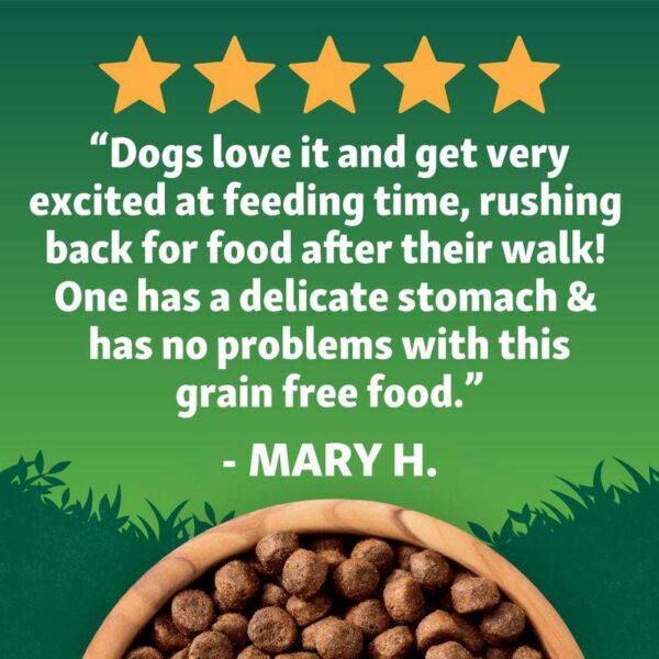 Harringtons Adult Grain Free with Superfoods Dry Dog Food - Chicken-Alifant Food Supplier