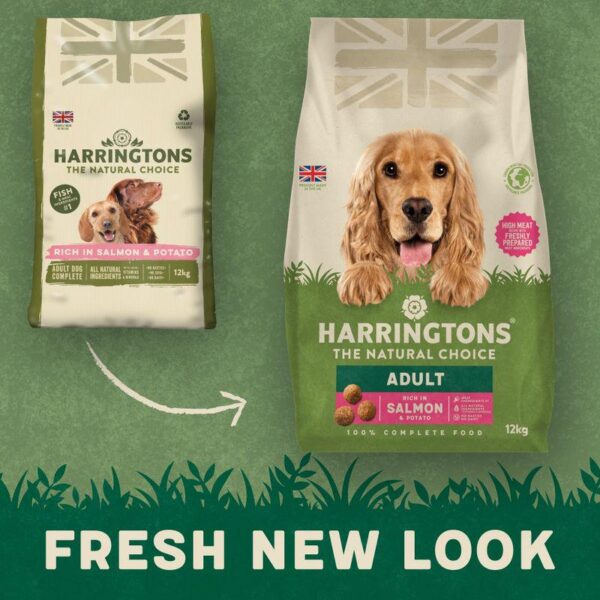 Harringtons Complete Adult Dog - Rich in Salmon & Potato-Alifant Food Supplier
