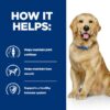 Hill's Prescription Diet Canine j/d Mobility - Chicken-Alifant Food Supplier