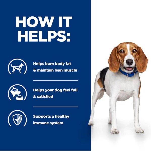 Hill's Prescription Diet Canine r/d Weight Loss-Alifant Food Supplier