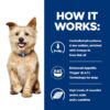 Hill's Prescription Diet Canine k/d Kidney Care-Alifant Food Supplier