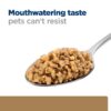 Hill's Prescription Diet Canine j/d Mobility - Chicken-Alifant Food Supplier