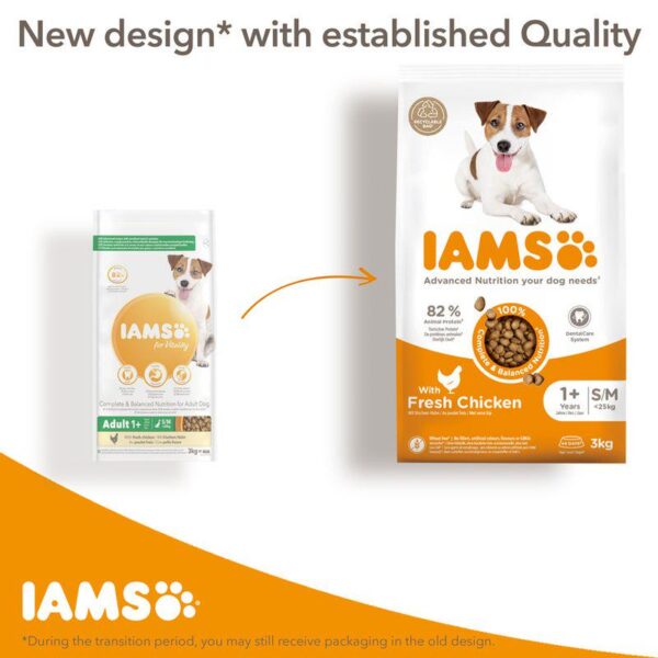 IAMS Advanced Nutrition Adult Large Dog - Chicken-Alifant Food Supplier