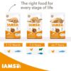 IAMS Advanced Nutrition Indoor Cat with Chicken-Alifant Food Supplier