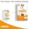 IAMS Advanced Nutrition Senior Large Dog - Chicken-Alifant Food Supplier