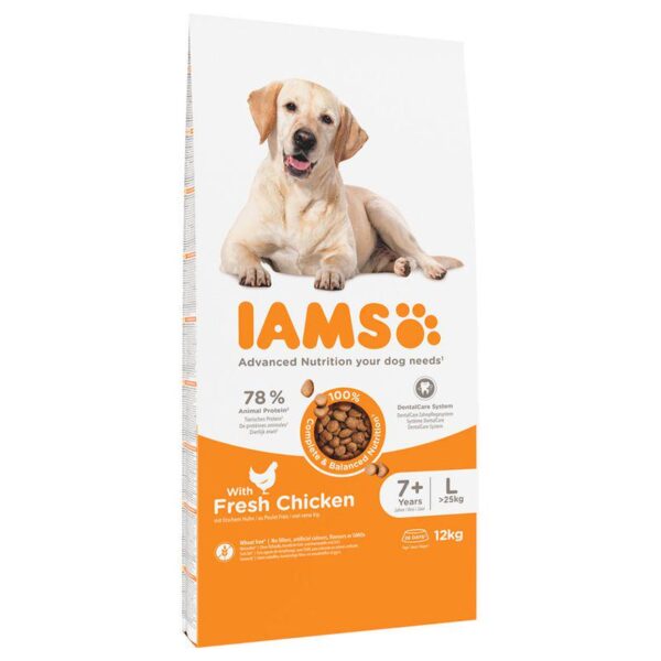 IAMS Advanced Nutrition Senior Large Dog - Chicken-Alifant Food Supplier