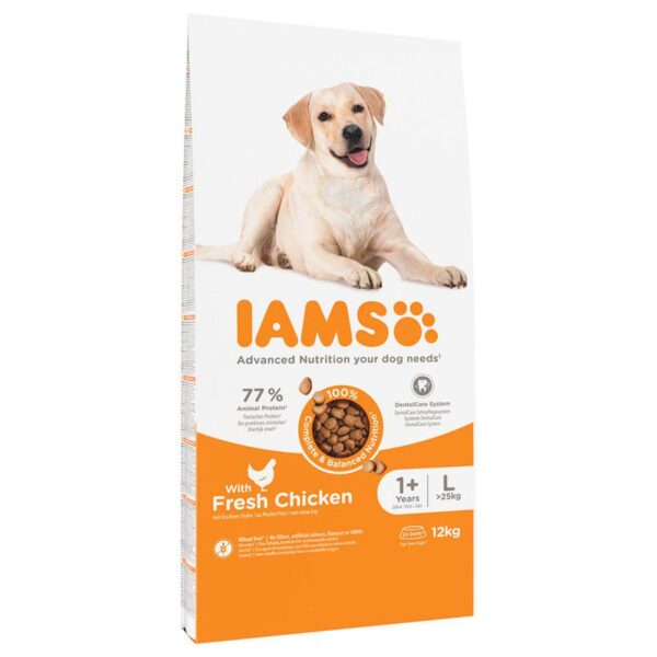 IAMS Advanced Nutrition Adult Large Dog - Chicken-Alifant Food Supplier