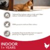 IAMS Advanced Nutrition Indoor Cat with Chicken-Alifant Food Supplier