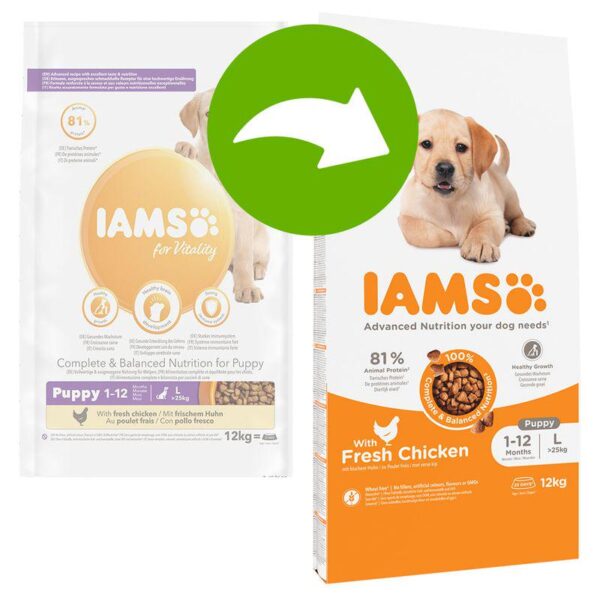 IAMS Advanced Nutrition Puppy & Junior Large Dog - Chicken-Alifant Food Supplier