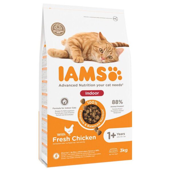 IAMS Advanced Nutrition Indoor Cat with Chicken-Alifant Food Supplier