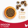 IAMS Advanced Nutrition Indoor Cat with Chicken-Alifant Food Supplier