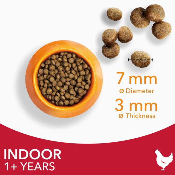 IAMS Advanced Nutrition Indoor Cat with Chicken-Alifant Food Supplier