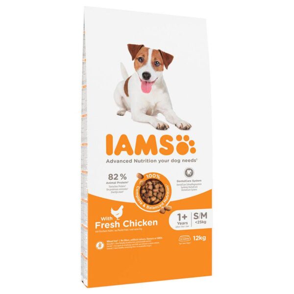 IAMS Advanced Nutrition Adult Small & Medium Dog - Chicken-Alifant Food Supplier