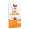 IAMS Advanced Nutrition Senior Small & Medium Dog - Chicken-Alifant Food Supplier