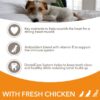 IAMS Advanced Nutrition Senior Small & Medium Dog - Chicken-Alifant Food Supplier