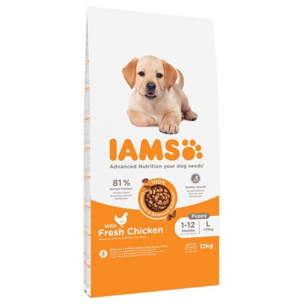 IAMS Advanced Nutrition Puppy & Junior Large Dog - Chicken-Alifant Food Supplier