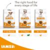 IAMS Advanced Nutrition Senior Small & Medium Dog - Chicken-Alifant Food Supplier