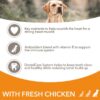 IAMS Advanced Nutrition Senior Large Dog - Chicken-Alifant Food Supplier