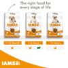 IAMS Advanced Nutrition Adult Large Dog - Chicken-Alifant Food Supplier