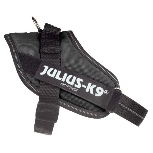 JULIUS-K9 IDC® Power Harness - Black-Alifant Food Supply