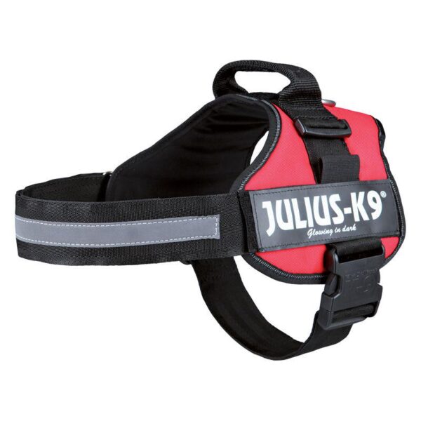 JULIUS-K9® Power Harness - Red- Alifant Food Supply