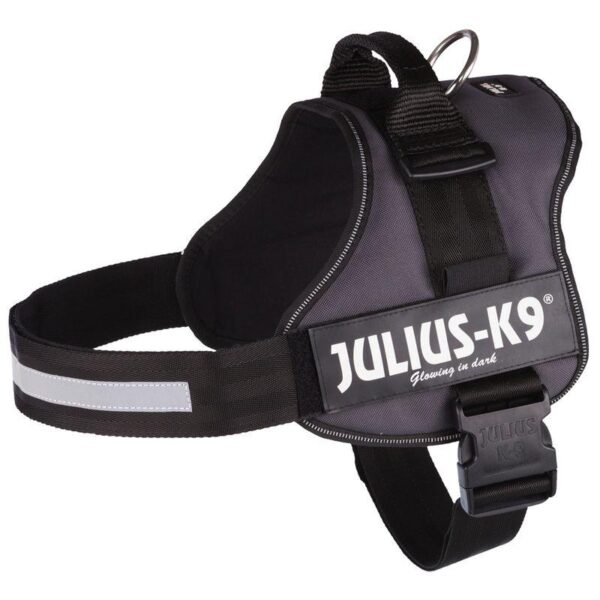 JULIUS-K9® Power Harness - Anthracite-Alifant Food Supply