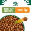 James Wellbeloved Adult Cat Hypoallergenic Grain Free - Turkey-Alifant Food Supplier