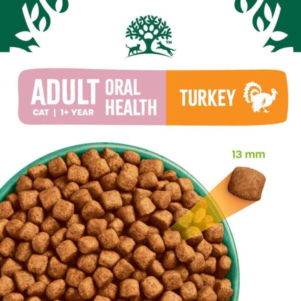 James Wellbeloved Adult Cat Hypoallergenic Oral Health - Turkey-Alifant Food Supplier