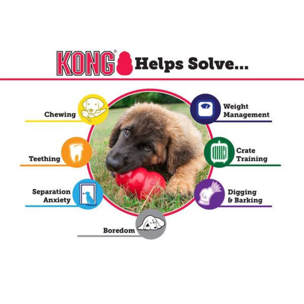 KONG Classic - Alifant Food Supplier