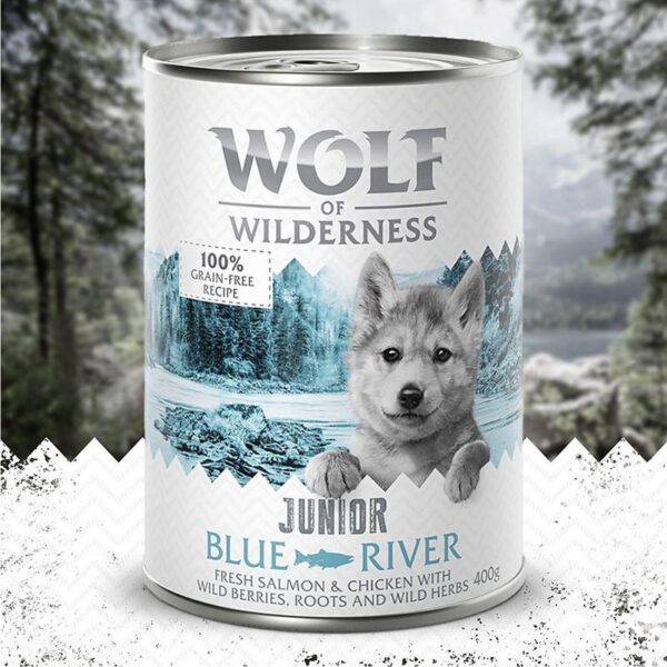Little Wolf of Wilderness 6 x 400g-Alifant Food Supply