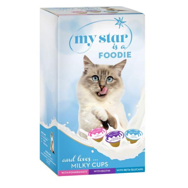 My Star Milky Cups Mixed Pack- Alifant Food Supply