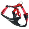 NEEWA Running Harness - Red-Alifant Food Supply