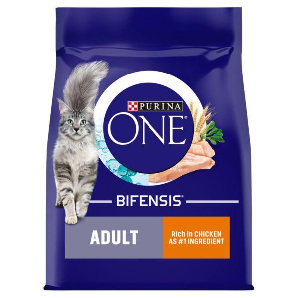 PURINA ONE Adult Chicken and Whole Grains Dry Cat Food-Alifant Food Supply