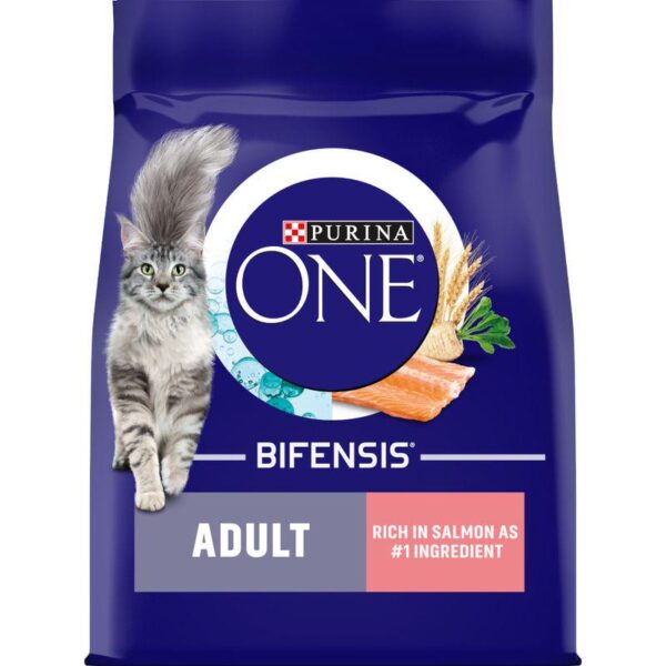 PURINA ONE Adult Salmon & Whole Grains Dry Cat Food-Alifant Food Supply