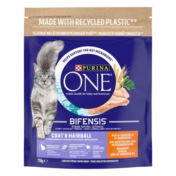 PURINA ONE Coat & Hairball Chicken & Whole Grains Dry Cat Food-Alifant Food Supplier