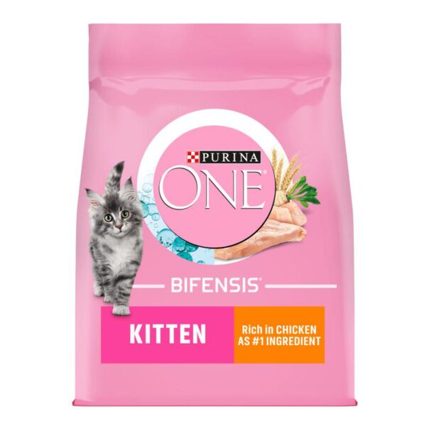 PURINA ONE Junior / Kitten Chicken & Whole Grains Dry Cat Food - Alifant Food Supply