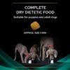 PURINA PRO PLAN Veterinary Diets EN Gastrointestinal-Alifant Food Supplier