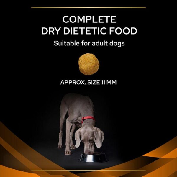 PURINA PRO PLAN Veterinary Diets OM Obesity Management - Alifant food Supplier